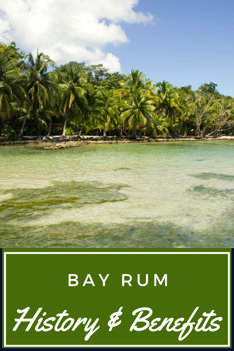 Bay Rum History & Benefits Wild Child Botanicals